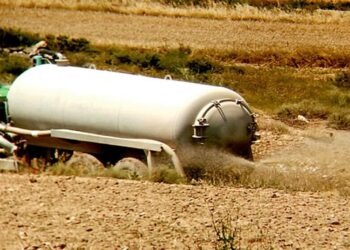 Las granjas porcinas carecen del debido control ambiental en Castilla y León