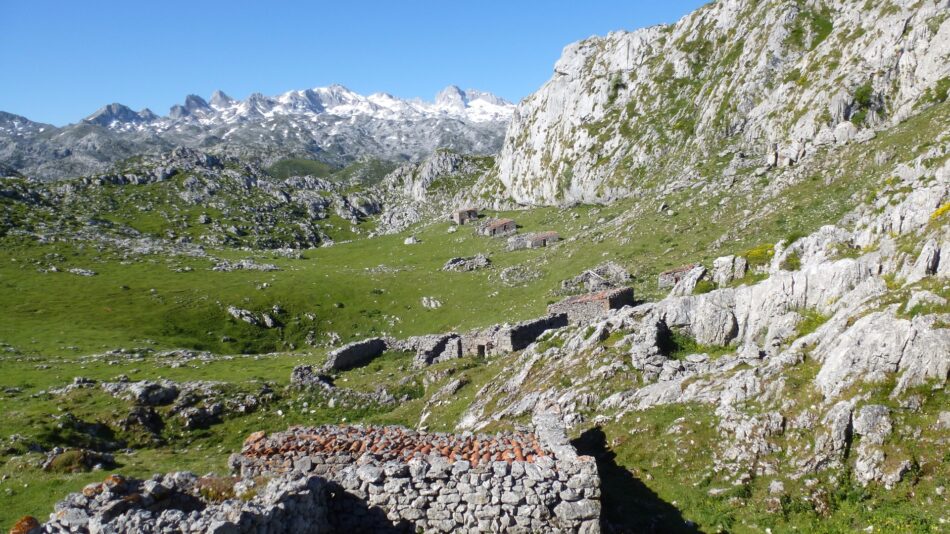 Quedan 800 días para detener la pérdida de biodiversidad