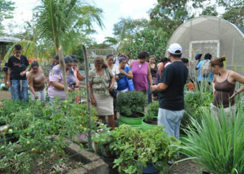 Nicaragua impulsa el programa «patio saludable» que potencia la agricultura urbana