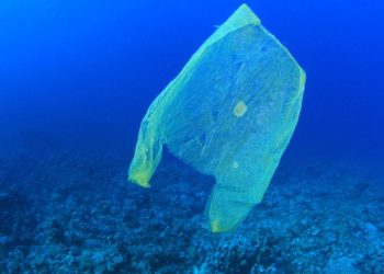 Decisión sin precedentes: la UE acuerda la prohibición de los plásticos de un solo uso