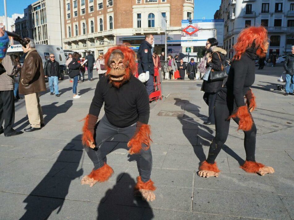 Varios orangutanes reclaman en la Plaza de Callao de Madrid el fin del uso del biodiésel de palma