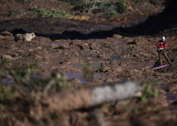 Brasil. Movimientos forman red de apoyo a víctimas de desastre Brumadinho: Cómo ayudar