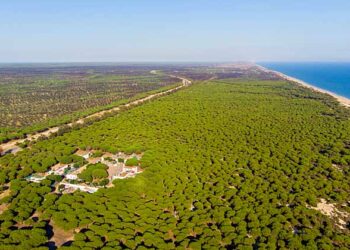EQUO tratará de impedir por todos los medios la materialización de una autovía Huelva-Cádiz, que atravesaría el Parque Nacional de Doñana