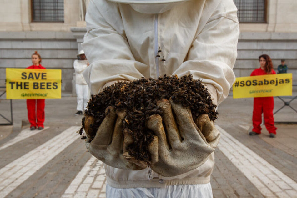 Filtración: los gobiernos europeos ceden a la presión de la industria y allanan el camino a los plaguicidas que matan a las abejas