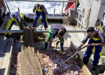 El proyecto RepescaPlas continuará en su segunda anualidad buscando una nueva vida a los residuos recuperados del mar