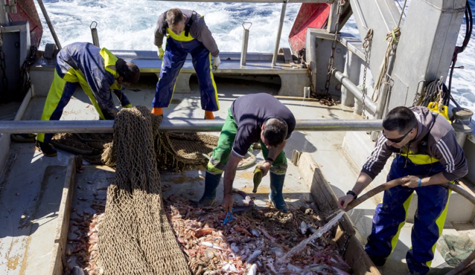 El proyecto RepescaPlas continuará en su segunda anualidad buscando una nueva vida a los residuos recuperados del mar