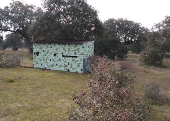 Ecologistas Extremadura critica las acciones reiteradas de caza en el Parque Perirubano de Moheda Alta