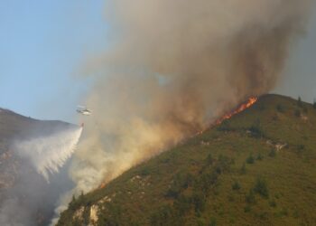 Coordinadora Ecoloxista: «Tras la ola de incendios qué hacemos»