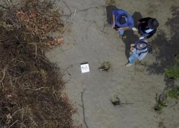 México: Encuentran seis fosas clandestinas con 18 cadáveres en Sinaloa