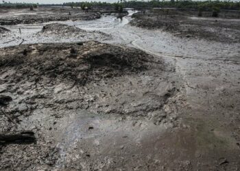 Amigos de la Tierra demanda a Shell por su contribución al cambio climático