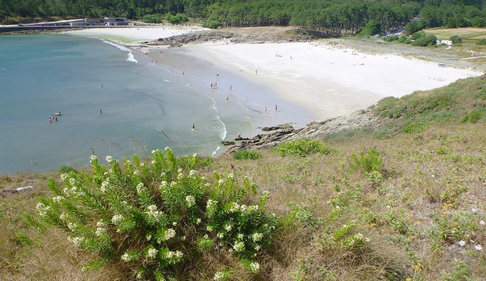 La protección de la naturaleza le gana la partida a la Fundación Eduardo Pondal y a su Festival V de Valarés