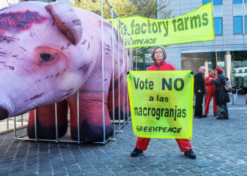 Greenpeace lleva un cerdo gigante a Bruselas para exigir el fin de las macrogranjas