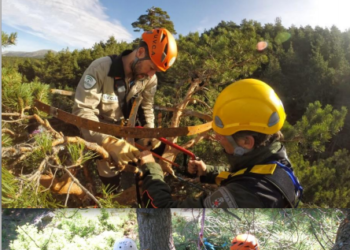 Ecologistas Extremadura pregunta sobre la situación en el proceso en su proceso de trámite del plan de recuperación de la cigüeña negra en Extremadura