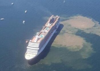 López de Uralde reclama en el Congreso medidas para reducir la contaminación de los cruceros