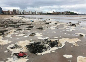Coordinadora Ecoloxista d’Asturies: «La peligrosa contaminación química de la bahía de Gijón»