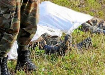Colombia: Las Fuerzas Militares más allá de los “falsos positivos”, o el tinglado de vilezas