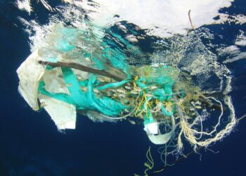 Fundación Global Nature (FGN) reivindica la importancia del consumo responsable  y ofrece opciones para evitar el uso del plástico en el día a día