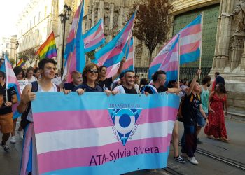 La Federación Plataforma Trans propone a todos los partidos políticos un Pacto Social y Político contra la Transfobia