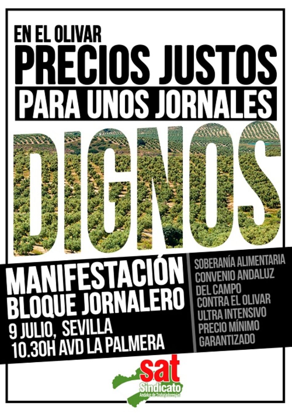 «Precios justos para unos jornales dignos»: el SAT, en defensa del olivar tradicional y de la dignidad del medio rural