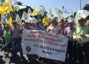 Miles de olivareros protestan por «el robo» en el precio del aceite, que se sitúa actualmente por debajo de los costes de producción