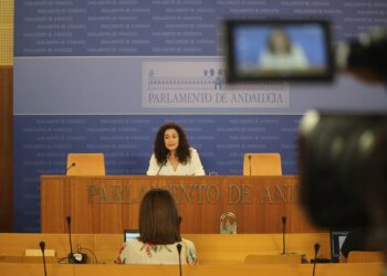 Adelante Andalucía denunciará ante Competencia la especulación de las multinacionales con el aceite de oliva