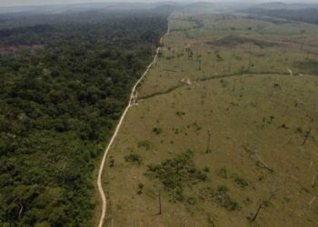 Brasil. Alemania cortará fondos para la preservación de la Amazonia