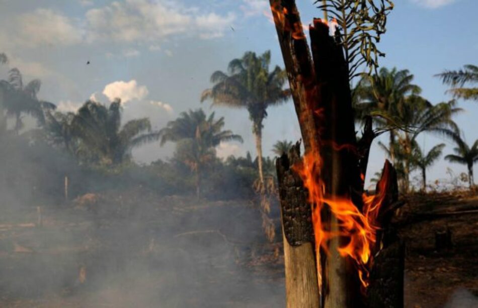 Brasil. Denuncian que en grupos de wasap hacendados coordinaron prender fuego a la Amazonia / Apoyaban así a Bolsonaro