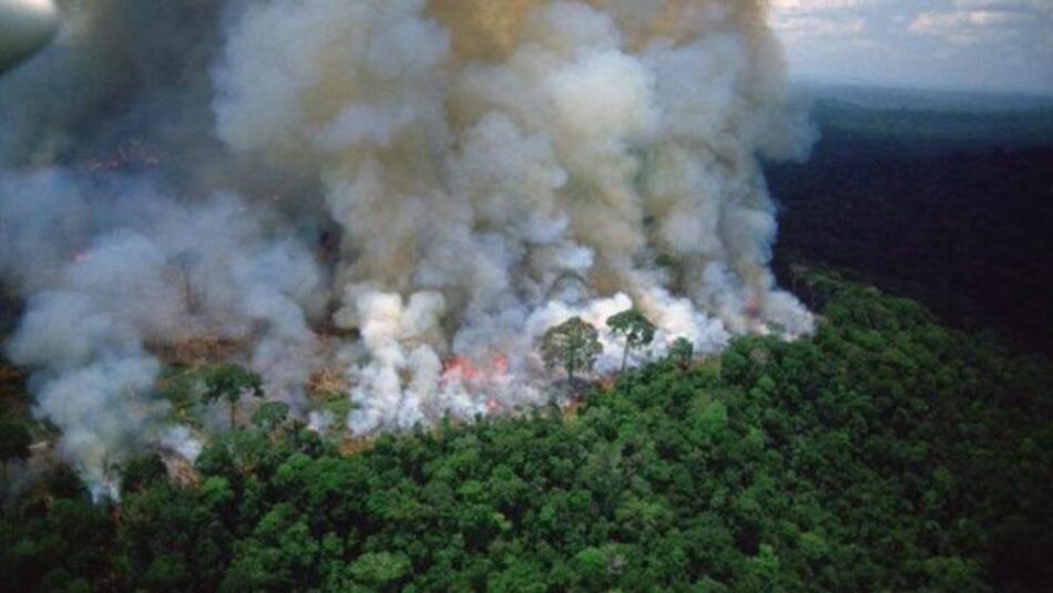 El humo por los incendios en la Amazonía llega a Argentina