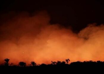 ONU llama a proteger la Amazonía en medio de incendios