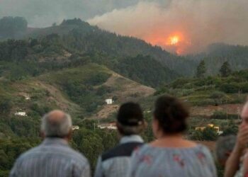 Los grandes incendios forestales son una evidencia más de la emergencia climática