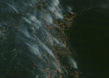 Satélites de la NASA muestran cómo arde la Amazonia de Brasil