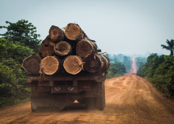 El Gobierno brasileño intenta desacreditar los datos que denuncian un aumento de la deforestación y no ofrece soluciones concretas