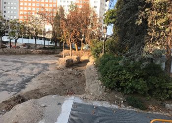 Ecologistas en Acción denuncia que las obras de remodelación de la Plaza de España están matando decenas de árboles adultos