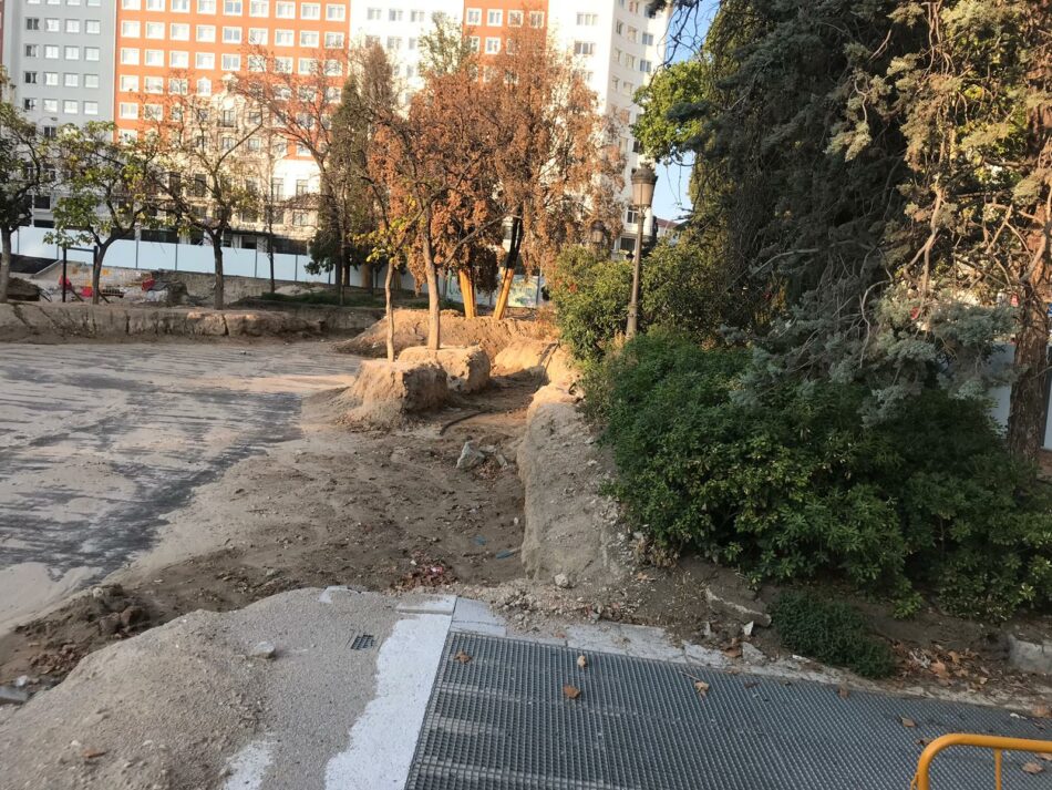 Ecologistas en Acción denuncia que las obras de remodelación de la Plaza de España están matando decenas de árboles adultos