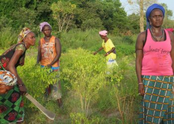 Alianza por la Solidaridad se suma a las movilizaciones por la Huelga Mundial del Clima que comienzan el día 20 junto a 300 ONGs