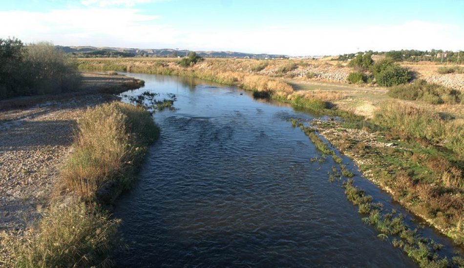 Organizaciones ecologistas denuncian la degradación consentida de los ríos madrileños