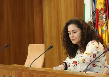 Inmaculada Nieto afirma que el Gobierno andaluz «ningunea la violencia machista con el teléfono de violencia intrafamiliar para no enfadar a Vox»