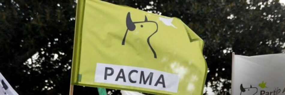 PACMA: una mujer a la Presidencia del Gobierno, 70% de mujeres en cabeza y una ReEvolución