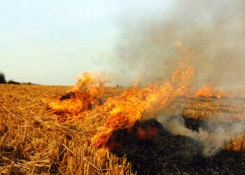 Ecologistas extremeños denuncian episodios de contaminación causados por la quema de rastrojos