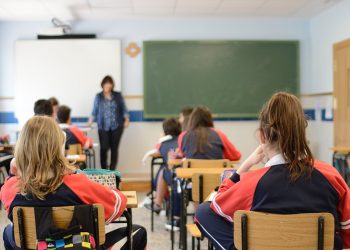 IU Castilla y León denuncia la falta de especialistas capacitados para atender a alumnos/as con necesidades y la falta de formación específica de los docentes