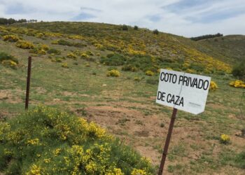 Reclaman al Consejero de Desarrollo Sostenible de Castilla-La Mancha un debate abierto y plural sobre el reglamento de caza