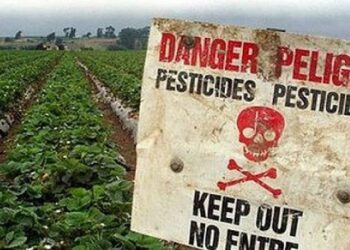 Ecologistas en Acción y Amigos de la Tierra lanzan una campaña para prohibir los plaguicidas sintéticos