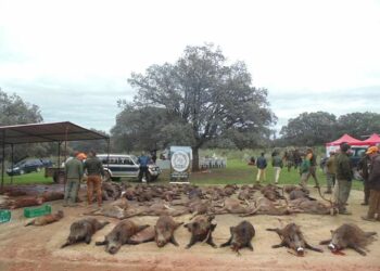 La Caza comercial pone en riesgo el Parque Nacional de Monfragüe según ongs ambientales