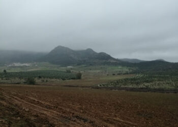 Ecologistas Extremadura denuncia un nuevo cambio de cultivo a regadío sin autorización en el ZIR-ZEPA Embalse de Orellana y Sierra de Pela