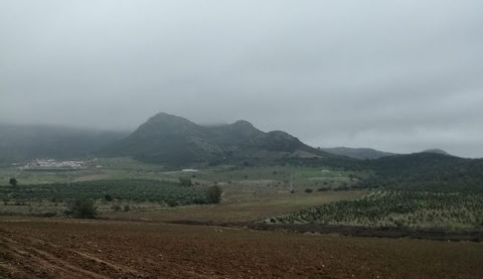 Ecologistas Extremadura denuncia un nuevo cambio de cultivo a regadío sin autorización en el ZIR-ZEPA Embalse de Orellana y Sierra de Pela