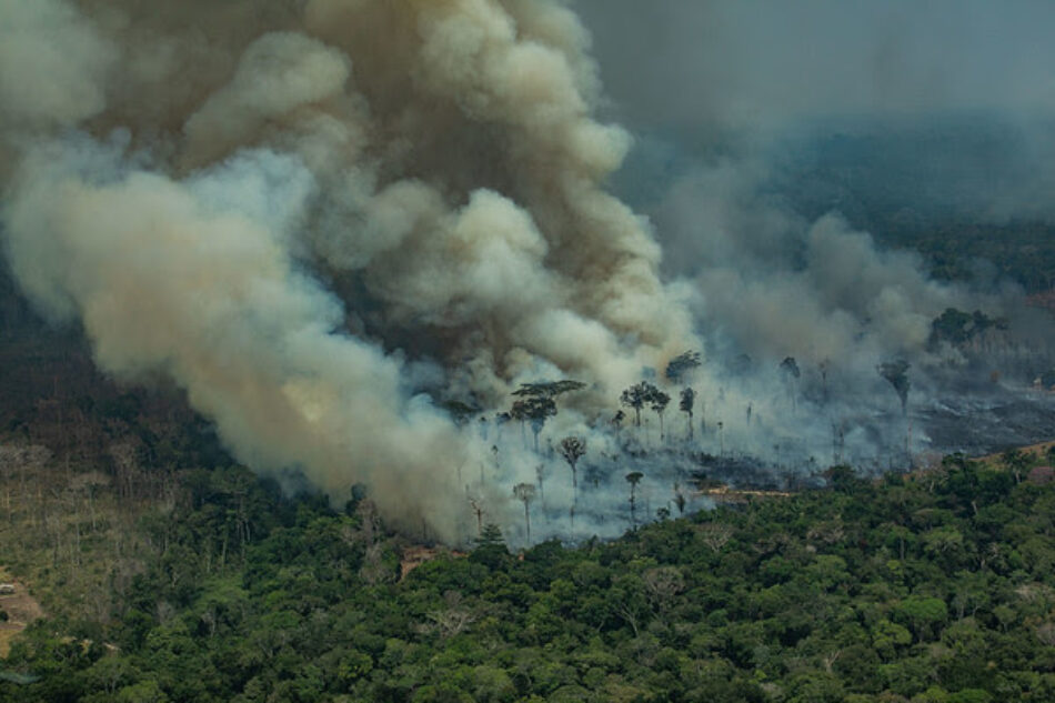 2019: El año en el que los grandes incendios forestales han evidenciado la emergencia climática