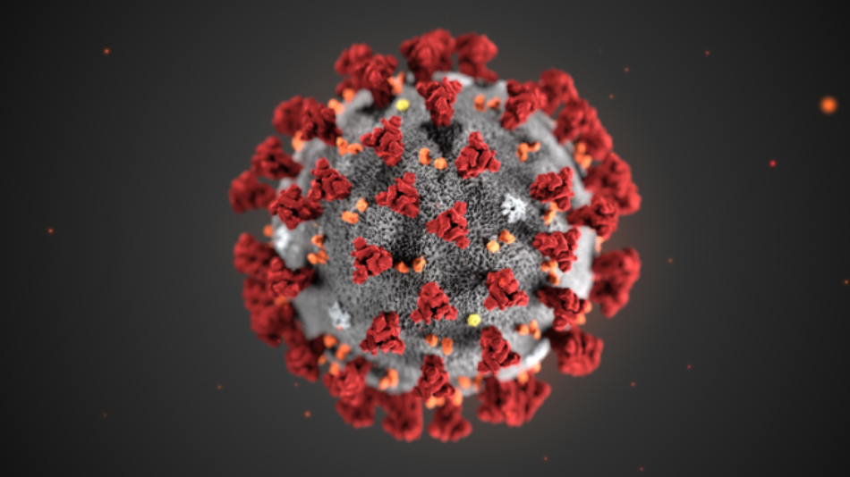 Manual de supervivencia informativa a la crisis del coronavirus