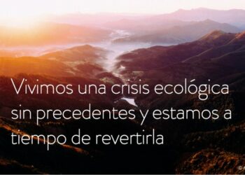 Ecologistas en Acción demanda a Teresa Ribera que analice las causas del fracaso de España en detener la pérdida de biodiversidad