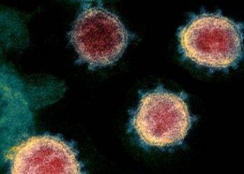 Coronavirus, agronegocios y estado de excepción