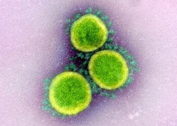 La OMS confirma que el coronavirus no viaja libremente por el aire, sino en gotas